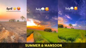 Summer & Mansoon VN Template
