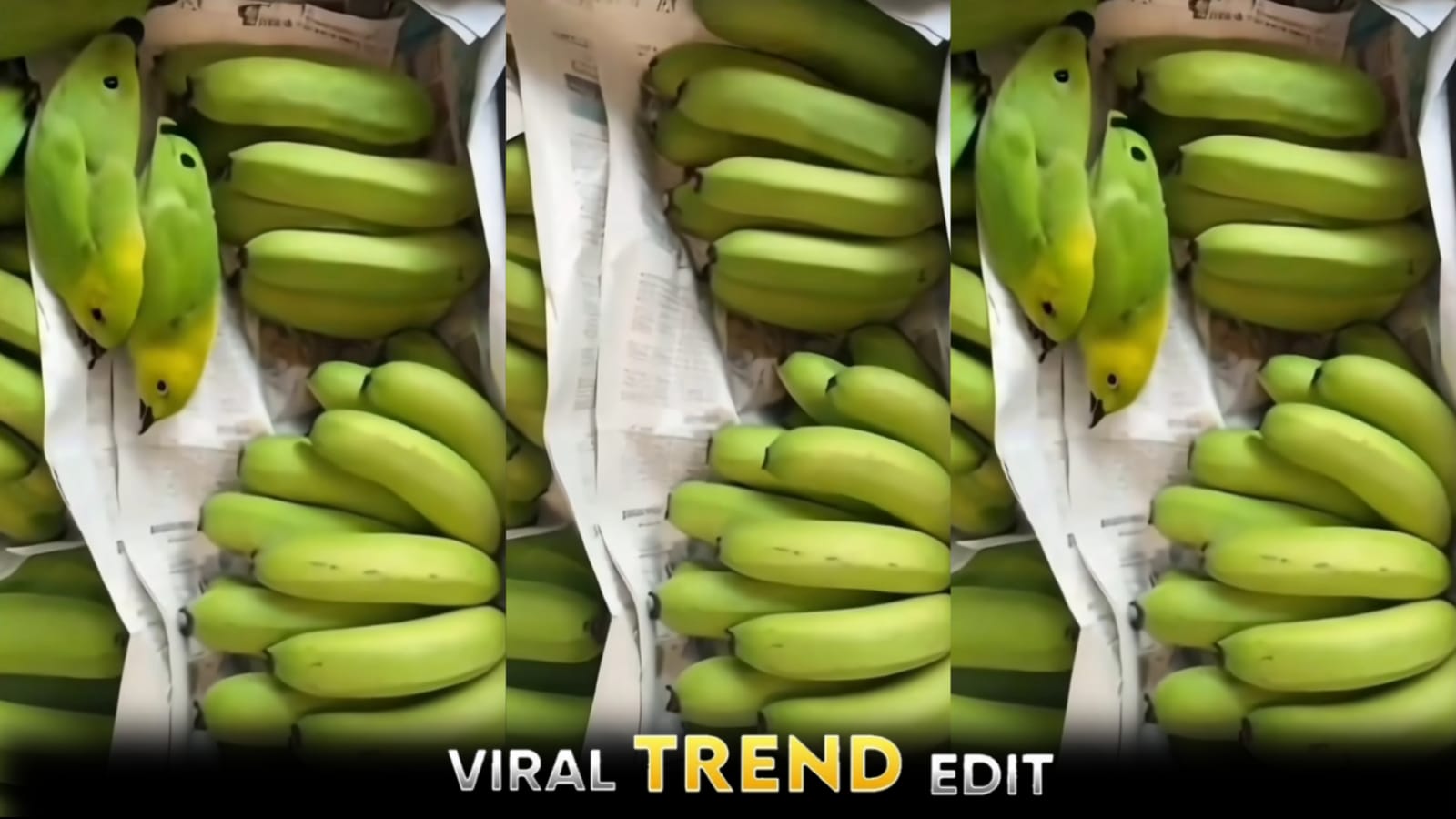 How To Edit Trending Viral Ai Video 2024