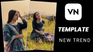 Trending Viral Reels Editing VN Template