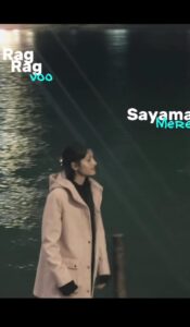 Mann Mera VN Code Template