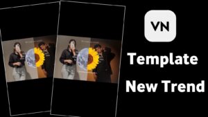 Mein Taan Rehna Kol VN Template Code