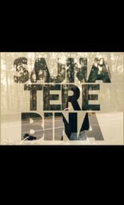 Sajna Tere Bina Vn Template
